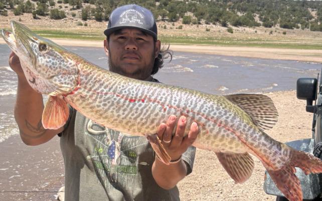 Cibola Fishing Report – June 9 - June 154