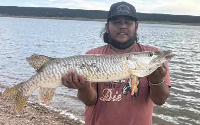Billy Rangel had a strong evening at Bluewater Lake on June 14, landing two tiger muskies during cool and windy conditions. His catches included a 40-inch, 14-pound muskie on an orange Dardevil spoon and a 30-inch, 10-pound muskie on a silver Kastmaster. Courtesy Photos