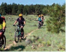 Riders explore the Quartz Hill Trail System in the Zuni Mountains, part of a newly dedicated network of nonmotorized trails designed to boost outdoor recreation and tourism in Cibola County. The U.S. Forest Service and local partners will officially open four of the trails during a celebration on National Trails Day, June 7. Photo by Les Gaines