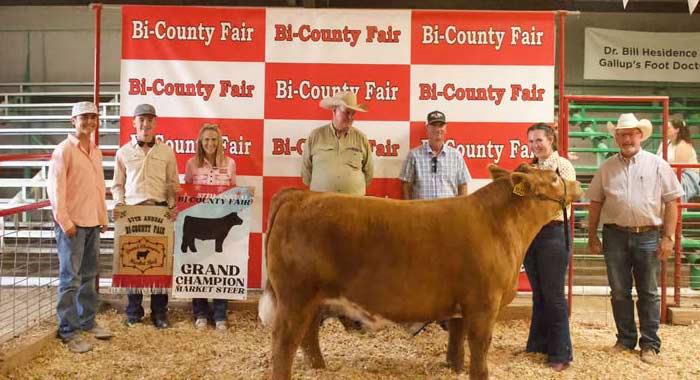 Francie Lee earned Grand Champion Market Steer honors during livestock competition at the 57th Annual Cibola-McKinley Bi-County Fair in Prewitt. Courtesy Photo