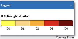 Cibola Drought Monitor – October Update