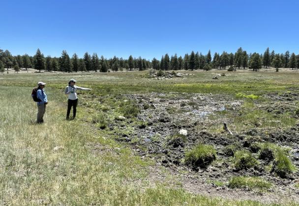 ShushKin_Biologists: US Forest Service photo: Mount Taylor Ranger District – Shush Kin Fen – (Wildlife biologists assessing the extent and severity of erosion in Shush Kin Fen and planning for restoration.) – 2023 Courtesy Photo