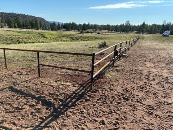 ShushKin_FenFence: US Forest Service photo: Mount Taylor Ranger District – Shush Kin Fen – (Pipe fence installed around the Shush Kin Fen to protect it from grazing by large ungulates and facilitate recovery of the wetland.) – 2025