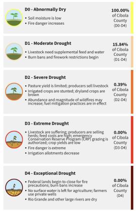 Cibola Drought Monitor – November Update