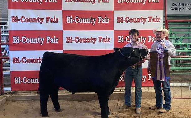 Grand Champ Steer -Shad Merrayo Courtesy Photo