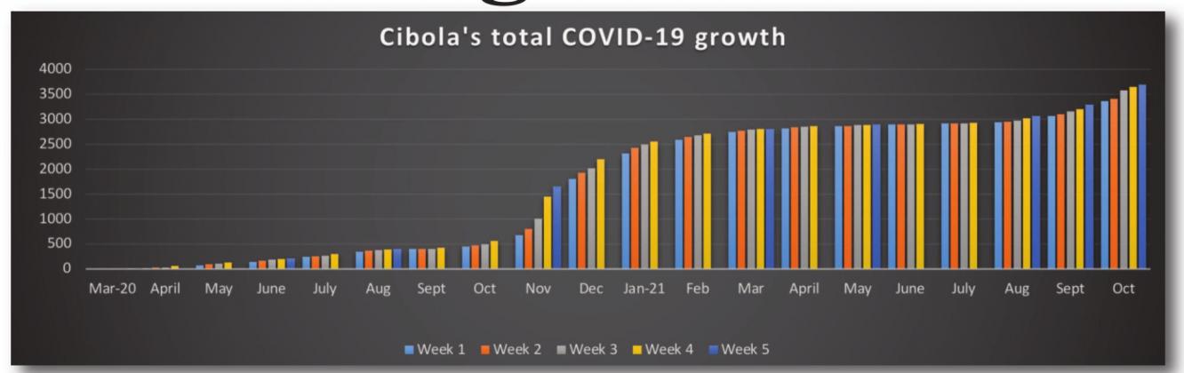 Deadly month: COVID-19 threat remains High-Risk