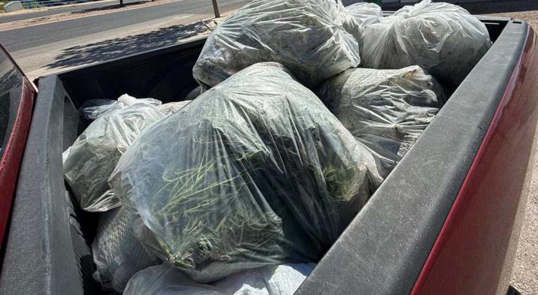 Bags of weeds and litter collected by volunteers are loaded for disposal after the park cleanup. Courtesy Photo