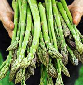 Asparagus in the Home Garden Part Two