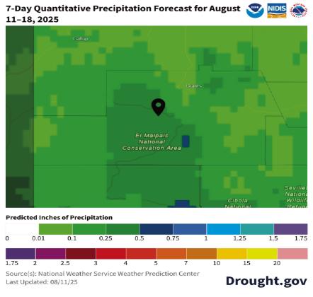 National Weather Service forecast for Aug. 11–18 shows potential for 0.25–0.5 inches of rainfall across much of Cibola County. While helpful, such totals are unlikely to bring lasting drought relief. Courtesy Photo