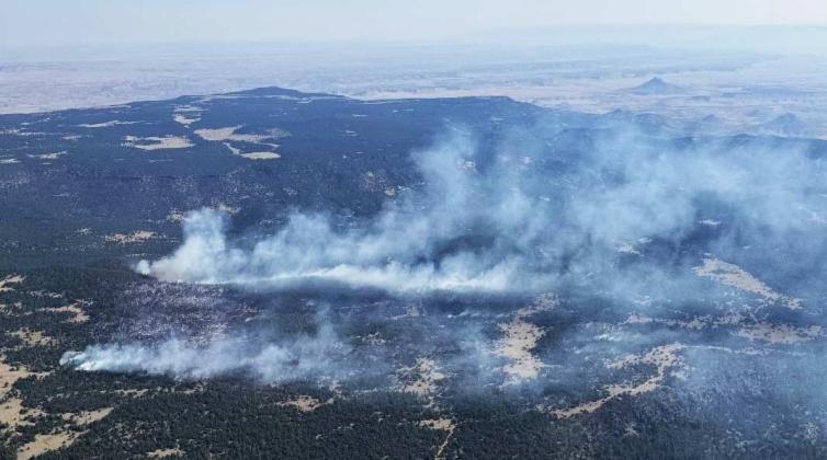 Vereda Blanca Wildfire photographed on Aug 9, 2025 by the USFS. Courtesy Photo