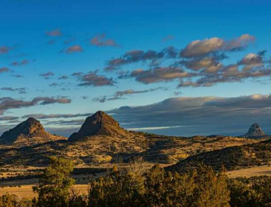 L Bar Ranch to Become Wildlife Management Area