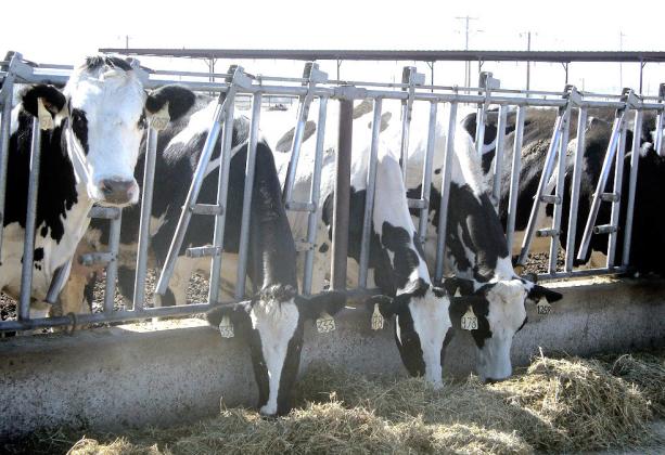 Annual Food and Agriculture Industry Study Highlights Critical Role of Food &amp; Ag Sectors in Bolstering the U.S. Economy