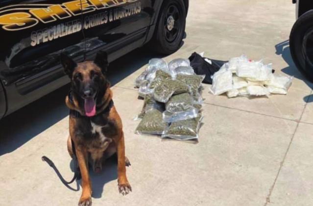 On June 16 the Cibola County Sheriff’s Office, working with Homeland Security Investigations, managed to seize over $1.3 million in illegal narcotics. Courtesy photo