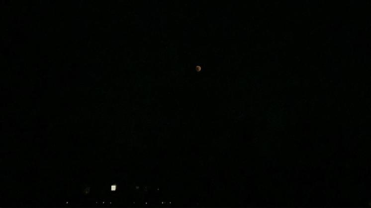 Super Flower Blood Moon