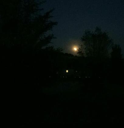 Super Flower Blood Moon