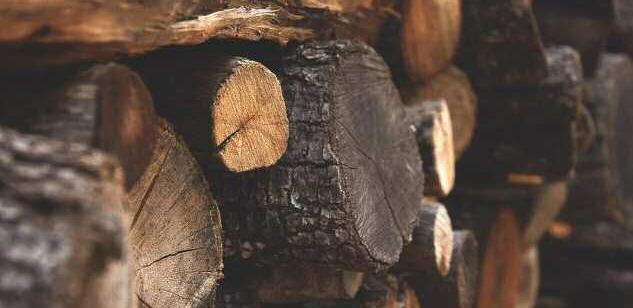 State law requires firewood to be advertised and sold by the cord or fraction of a cord. The New Mexico Department of Agriculture Standards and Consumer Services Division enforces the state’s Weights and Measures Law, which includes how firewood must be advertised and sold in order to maintain fairness in the marketplace. Courtesy Photo
