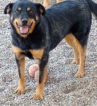 GrantsAnimal Care Center 722 Sakelares Boulevard