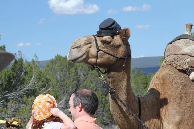 U.S. Camel Corps Commemoration Returns to El Morro National Monument September 12-13, 2026