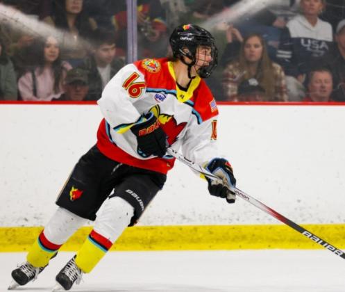 NEW MEXICO ICE WOLVES NAME FIRST CAPTAINS FOR 2024-25 SEASON