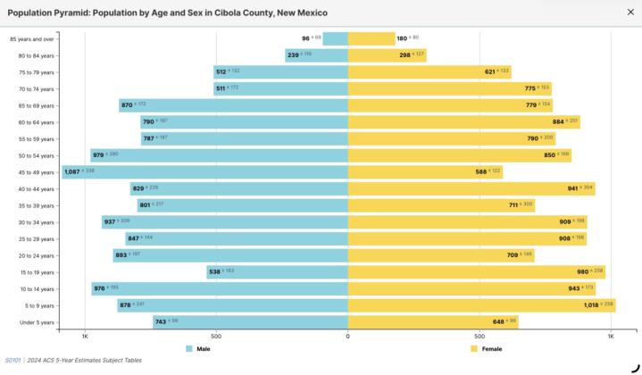 The Economy of Cibola County