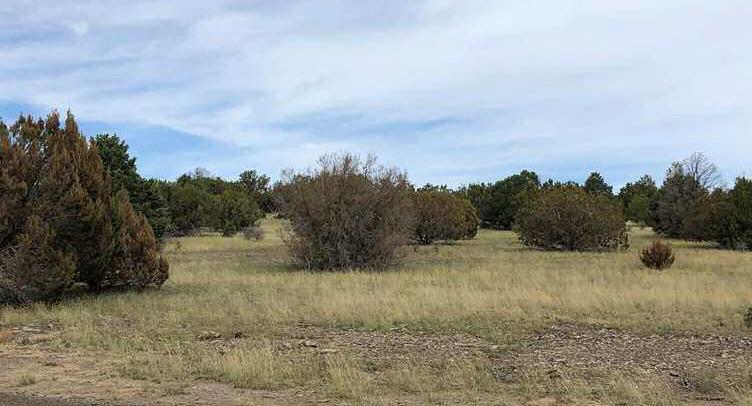 Low Flying Planes Seen as Result of Vegetation Management