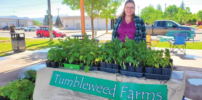 Farmers and vendors bring their fresh produce, plants, and products to Fire and Ice Park on Santa Fe Avenue for the opening market of the annually occurring Grants Farmers’ Market. Market Director Siobhan Archibald courtesy photos