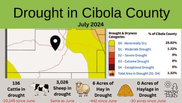 Cibola’s Drought Monitor – July Drought Shows Improvement in Agriculture and Livestock Impacts