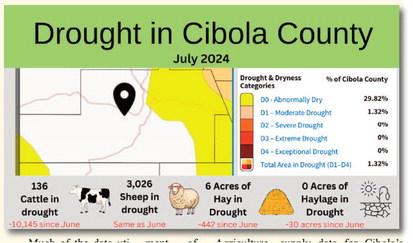 Cibola’s Drought Monitor – July Drought Shows Improvement in Agriculture and Livestock Impacts