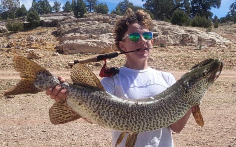 Benjamin Apodaca of Grants, NM caught this 47in, 45lb tiger musky at Bluewater Lake on March 22. He caught this monster using a rooster tail and a dock runner rod. Courtesy Photo