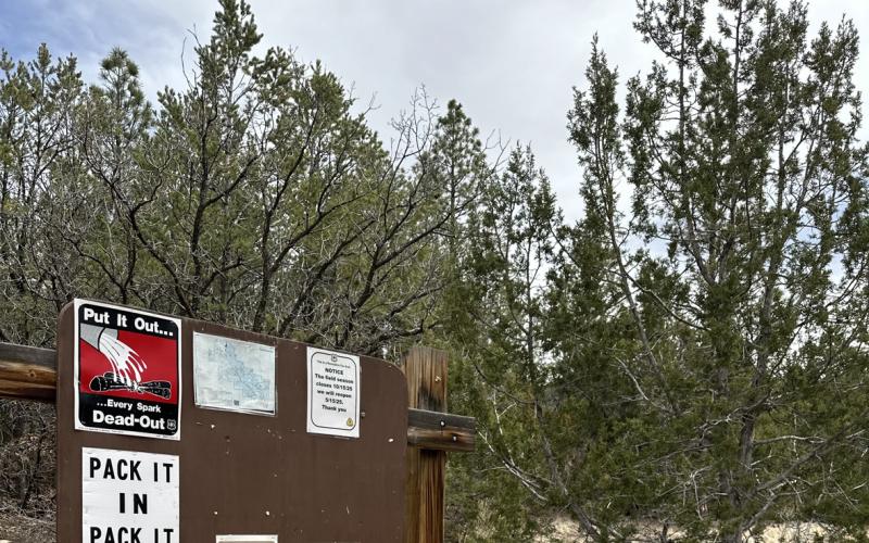 MOUNT TAYLOR – Sissy Simonson journeyed to the Lobo Canyon Campground, March 15, and enjoyed the smells, remembering to pack out the trash she brought with her and to keep the environment the way she found it. Courtesy photo
