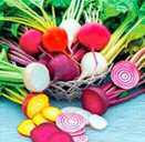 Beets, a Delicious Vegetable from Your Garden