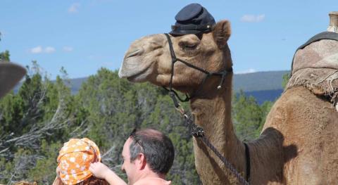 U.S. Camel Corps Commemoration Returns to El Morro National Monument September 12-13, 2026