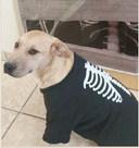 GrantsAnimal Care Center 722 Sakelares Boulevard