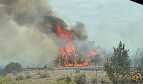 Porter Ranch Fire Assistance