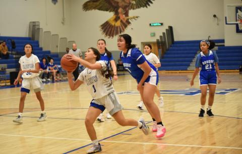 LAHS Lady Hawks