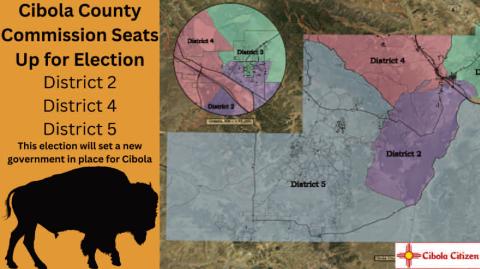 Upcoming Elections Set to Transform Local Governance