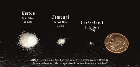 The War on Drugs rages on across Cibola County as the local law enforcement try to take on the growing drug trade. One of the drugs that is finding its way to Cibola more and more is Fentanyl, just a grain of Fentanyl is enough to kill someone. This drug is being mixed with other opioids and marketed as the original, creating overdose issues within the City of Grants, Village of Milan, and Cibola County. Courtesy photo