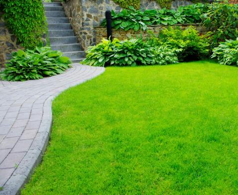 Taking Care of Your Yard During a Heat Wave