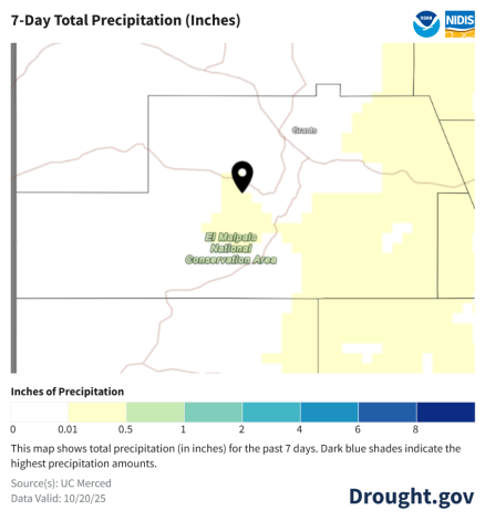 For the week ending October 20, 2025, most of Cibola County saw little to no measurable rainfall, with values generally below 0.1 inch according to Drought.gov. The light yellow shading around El Malpais and Grants indicates dry conditions following earlier October storms. Data from UC Merced/Drought.gov, retrieved October 24, 2025.