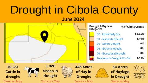 Cibola’s Drought Monitor – May