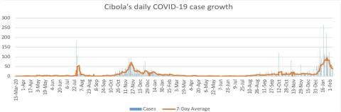 COVID on the decrease