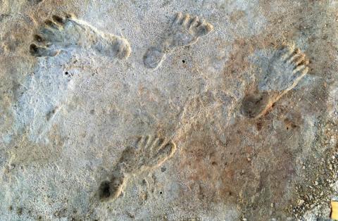 Ancient footprints from White Sands National Park are estimated to be 20,000 years old. Courtesy photo National Park Service
