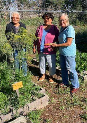 The picture is the Thoreau Senior Center Garden with raised beds. The two ladies with me gave permission to use the picture but did not want their names mentioned. Photo by Edith Iwan