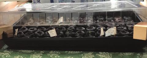 Growing to Transplant