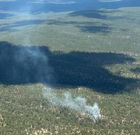 Smoke rises from the five-acre Notches Fire in the southcentral Zuni Mountains on July 30. The lightning-caused fire was burning west of NM 612 and north of NM 53, where crews reported no new growth and continued reinforcing containment lines and extinguishing interior hot spots. Photo Courtesy U.S. Forest Service