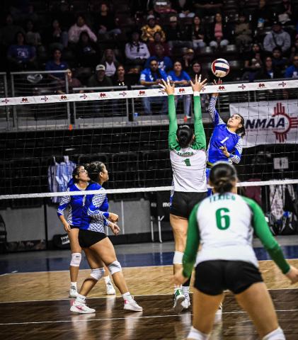 Gianna Carillo,1, in action against Texico in the semifinal game at the Rio Rancho Star Center last Saturday in the 2A state volleyball tournament. The Hawks lost to Texico 3-0 (25-13, 25-23, 25-11) and finished their season with an impressive record of 21-5. Texico went on to win the 2A state championship after defeating Mesilla Valley 3-1. Franklin Romero - CC