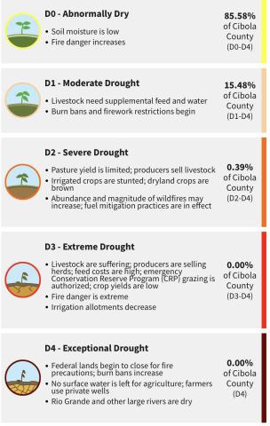 Cibola Drought Monitor – January Update