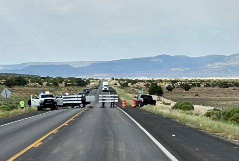 Encerrita Fire in the Zuni Mountains