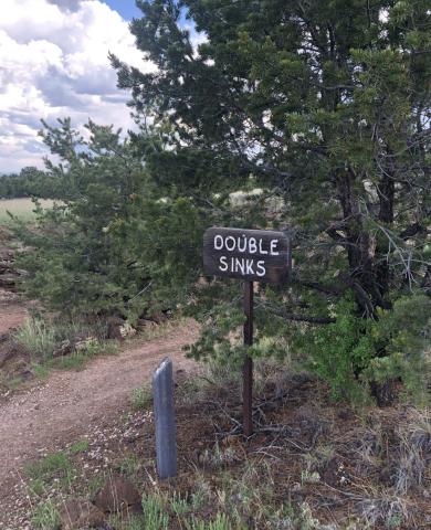 The Cibola National Forest