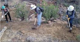 Progress on the Lobo Canyon Trail